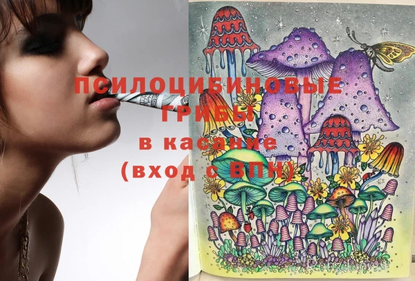 jwh Новозыбков