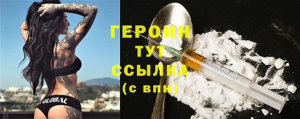 твердый Новодвинск